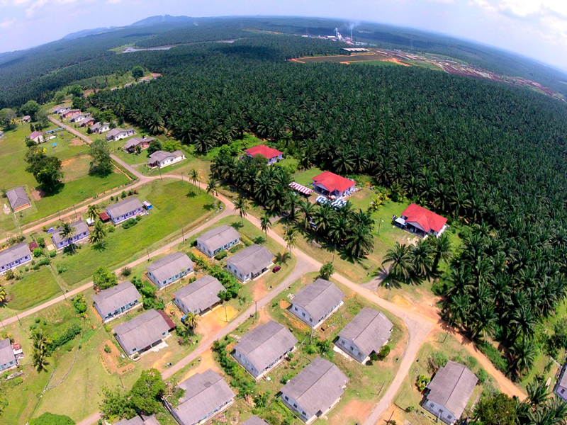 Kulim Keeping Production Prosperous Littlegate Publishing