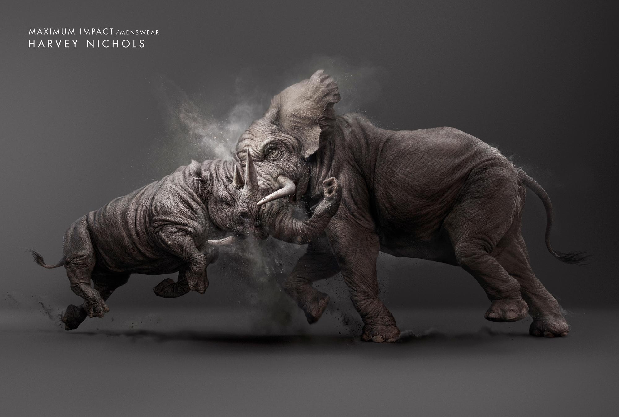 Pertarungan Gajah vs Badak, menang mana ?