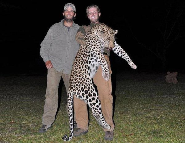 Trump Sons