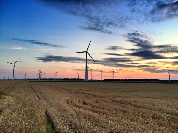 windrder sonnenuntergang