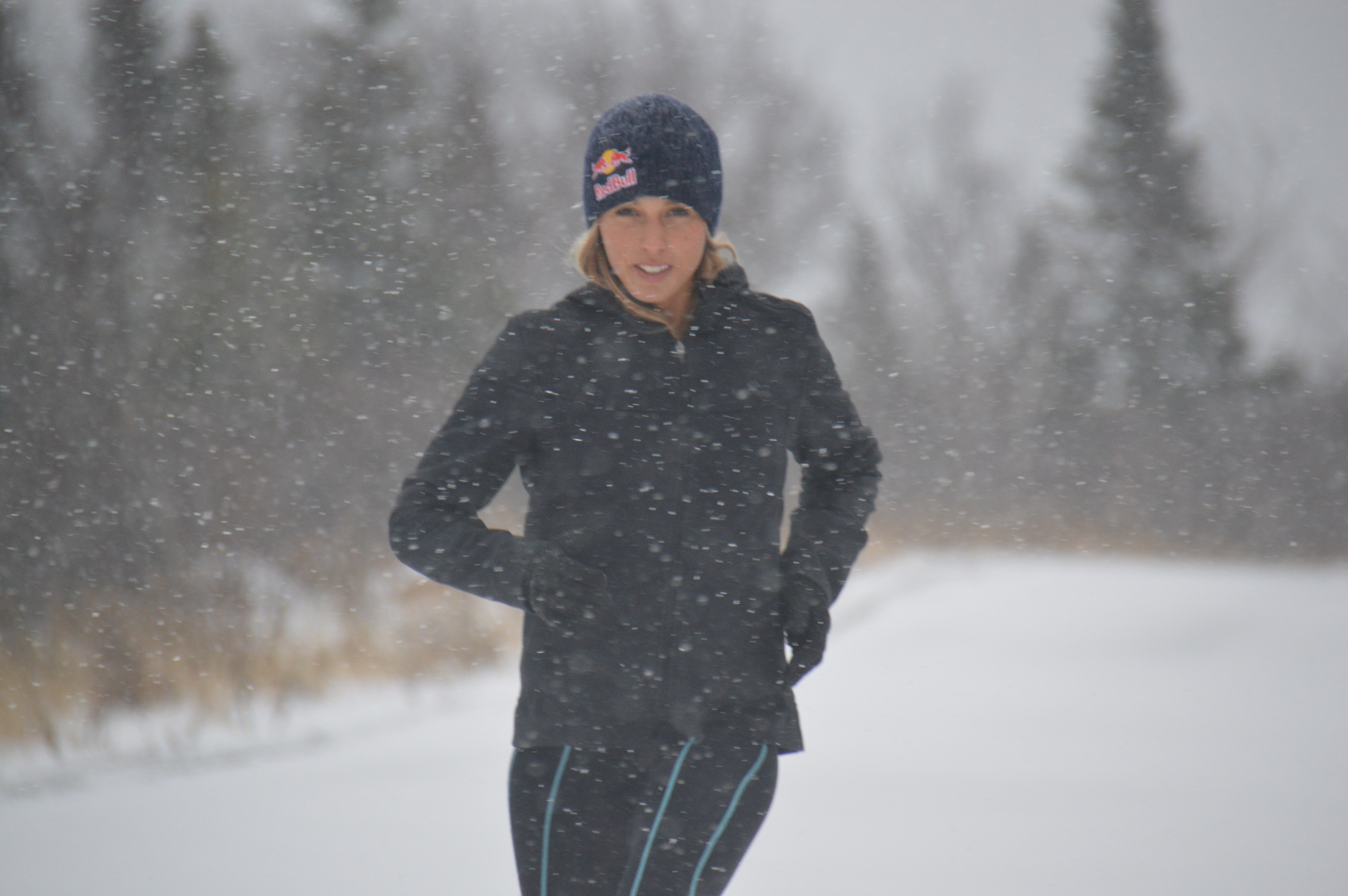 sally fitz Littlegate Publishing