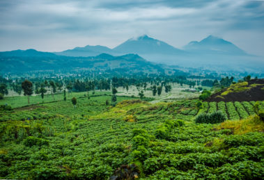 A view of the Rwanda landscape and Mount Sabyinyo