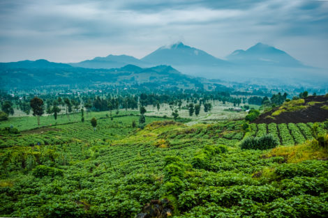 A view of the Rwanda landscape and Mount Sabyinyo