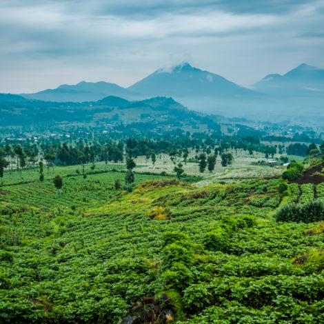A view of the Rwanda landscape and Mount Sabyinyo