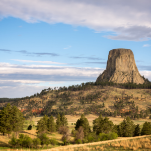 Devils Tower, a flat rocky butte stands tall above the surrounding land.